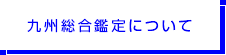 九州総合鑑定について